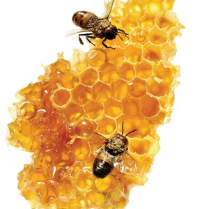 Raw Honey