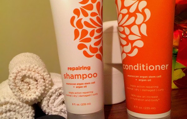 Repairing Conditioner