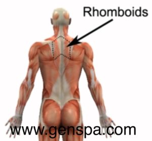 Natural Healing for Rhomboid Pain